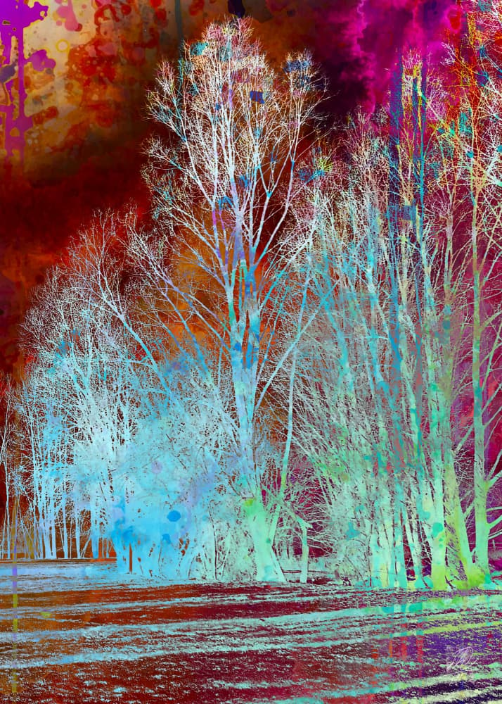 Surreal Colorful Forest by Osvaldo Russo — canvas wall art