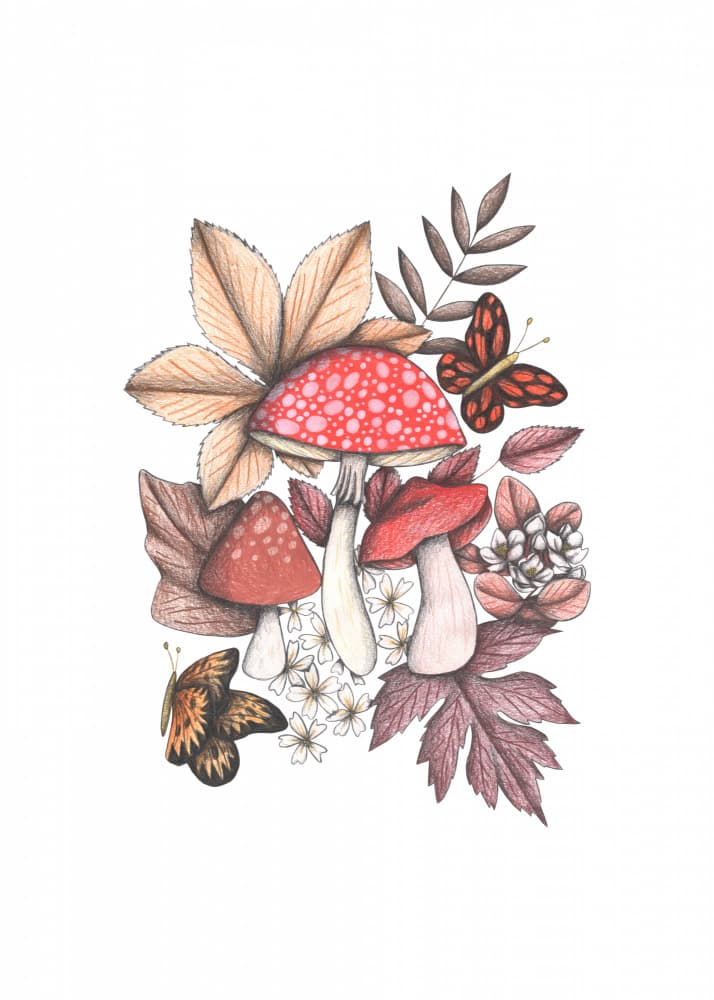 Woodland Mushroom Butterflies by Cecilia Battaini — canvas wall art