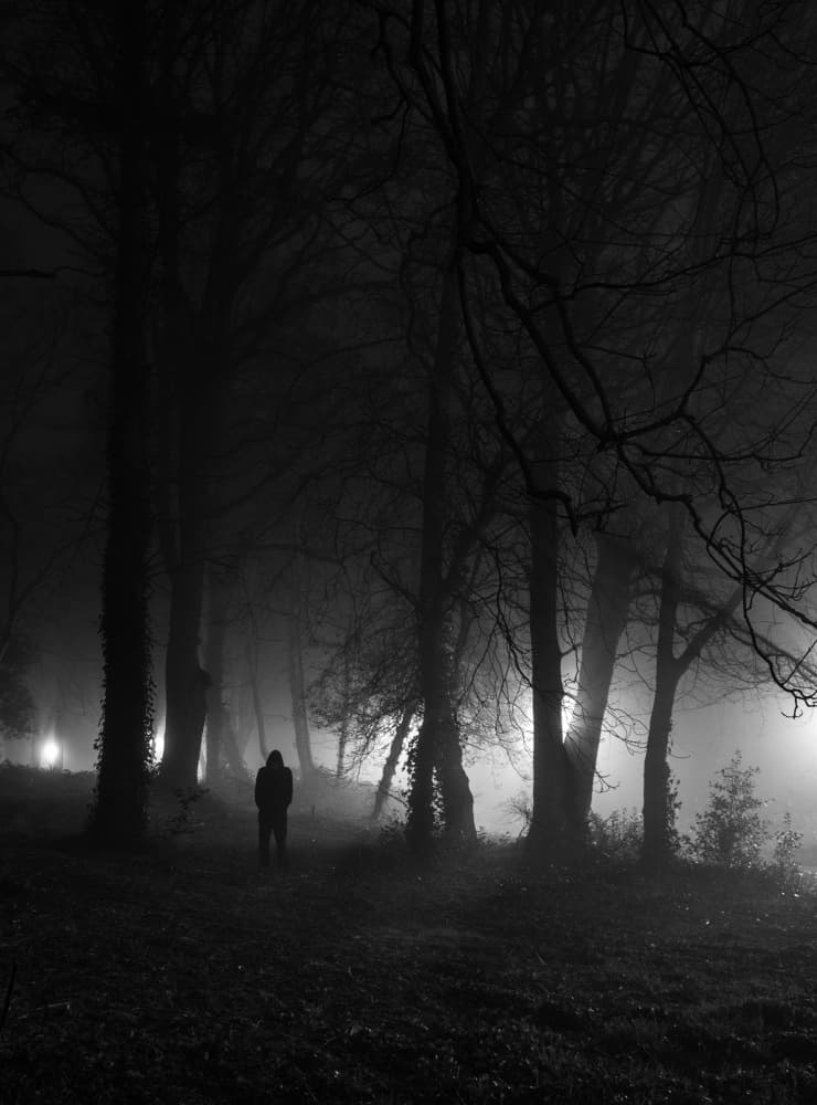 Figure in Foggy Forest by Yavuz Pancareken — canvas wall art