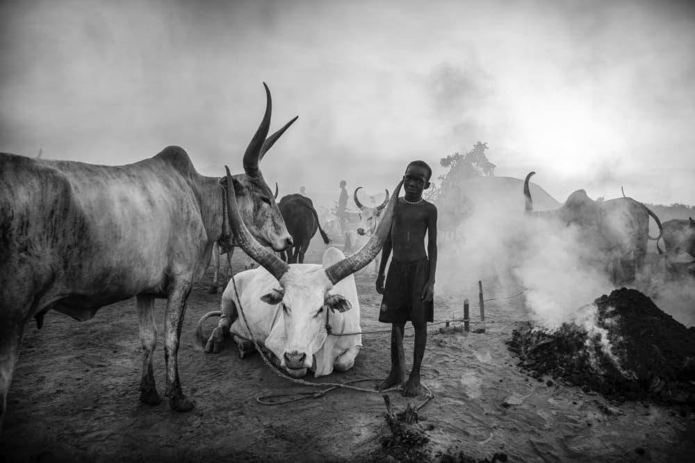 Boy Among Long Horns by Svetlin Yosifov — canvas wall art