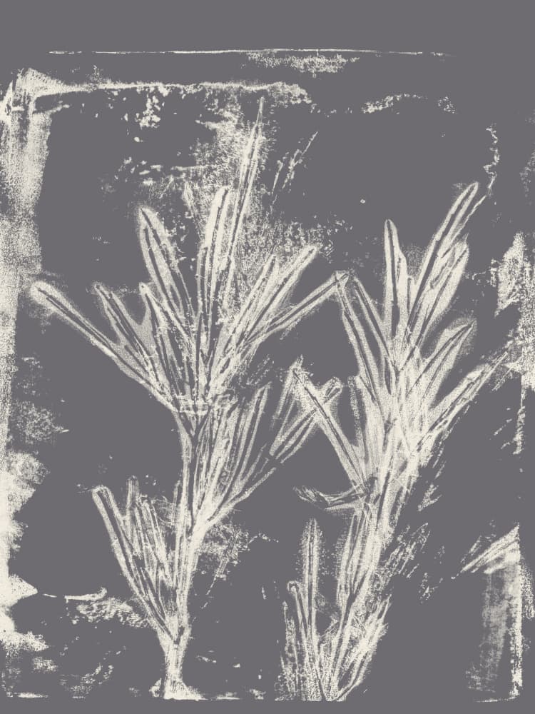 Delicate Plant Branches by Dina Dankers — canvas wall art