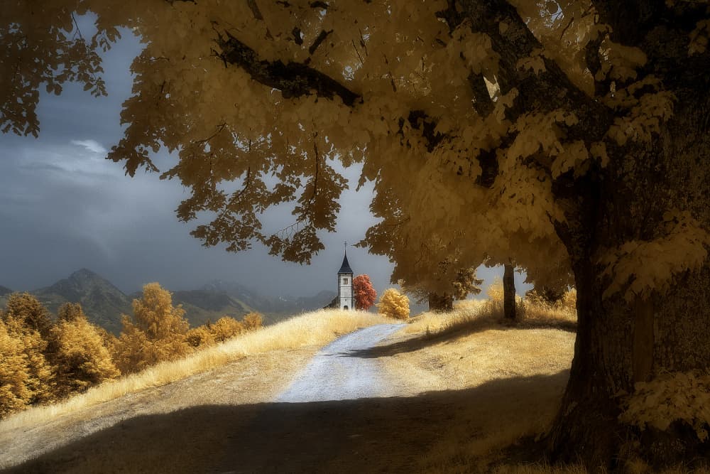 Golden Autumn Church Road by Filippo Manini — canvas wall art