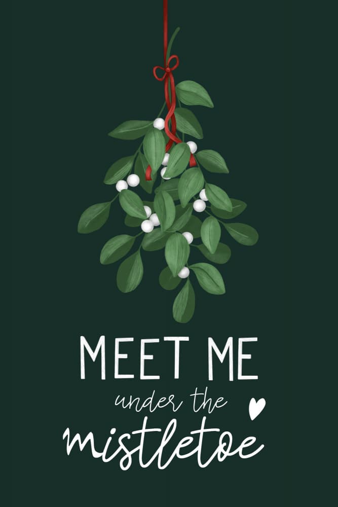Under The Mistletoe by EMELIEmaria — canvas wall art