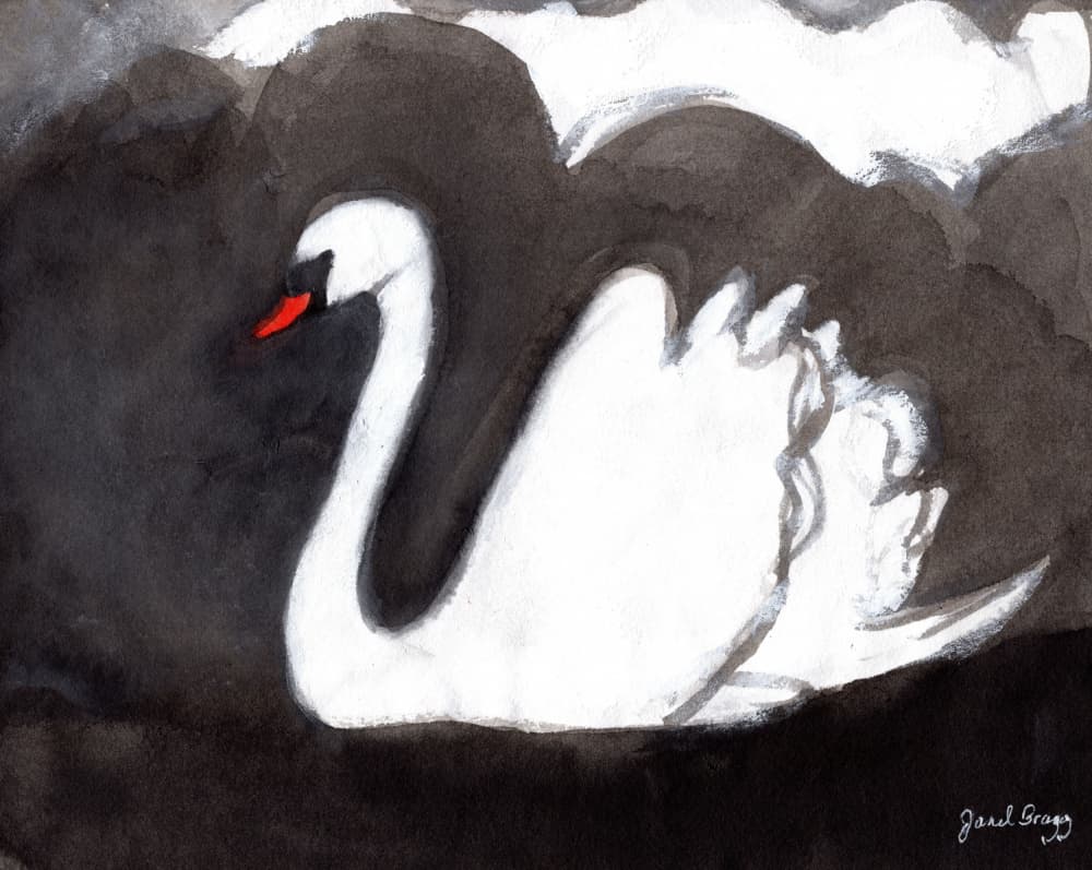 Swan On Stormy Lake II by Janel Bragg — canvas wall art