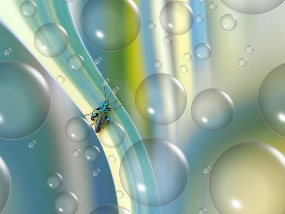 Sparkling Insect Bubbles by Thierry Dufour — canvas wall art