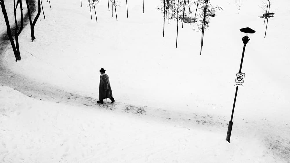 Quiet Winter Walk by Marius Cinteza — canvas wall art