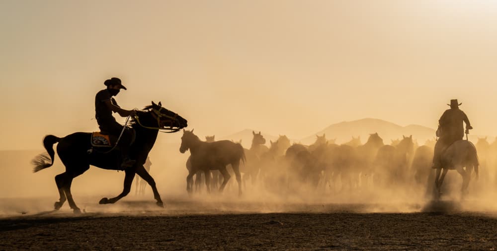 Wild Horses Golden Dust by Corinne Spector — canvas wall art