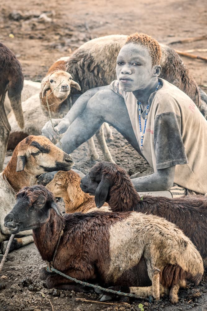 Tribal Boy Among Sheep by Trevor Cole — canvas wall art