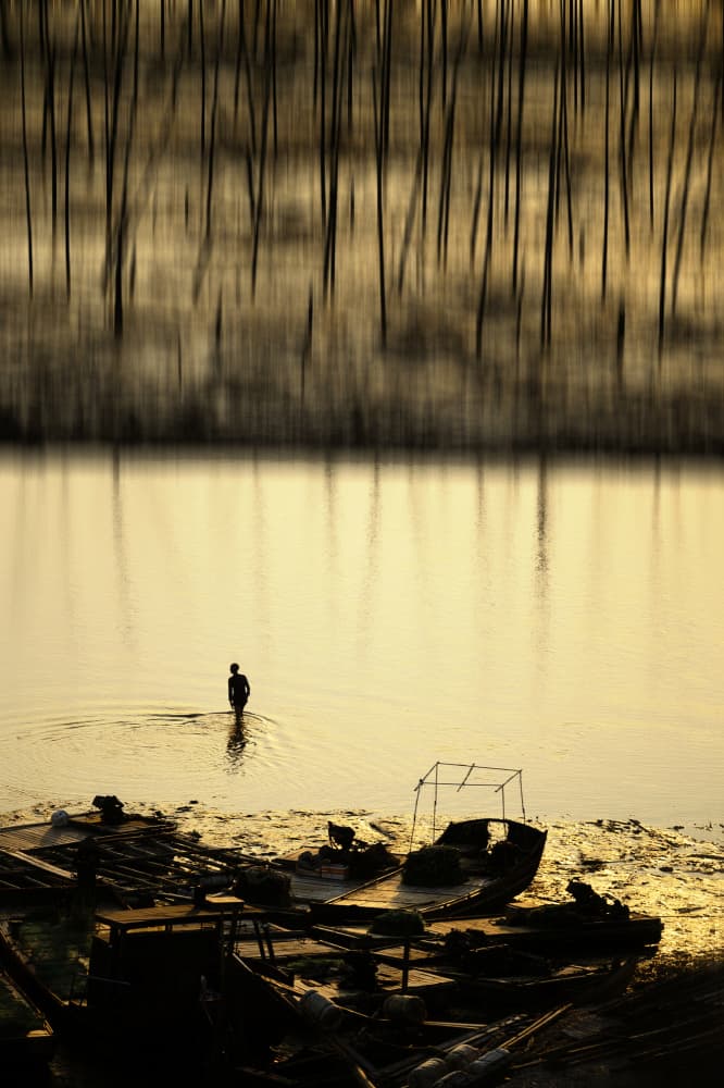 Solitary Golden Hour by Gina Buliga — canvas wall art