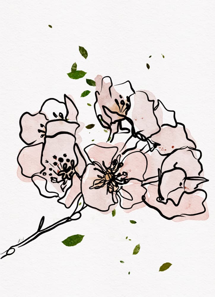 Pink Spring Blossoms by Ankie Kooi — canvas wall art