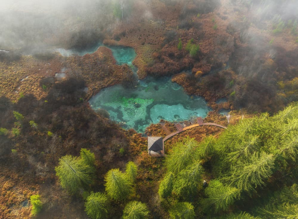 Emerald Forest Pools by Ales Krivec — canvas wall art