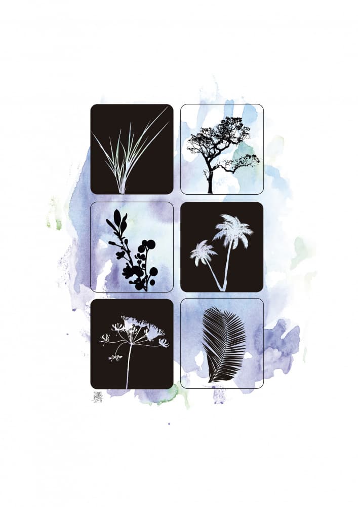 Botanical Silhouettes in Watercolor by Osvaldo Russo — canvas wall art