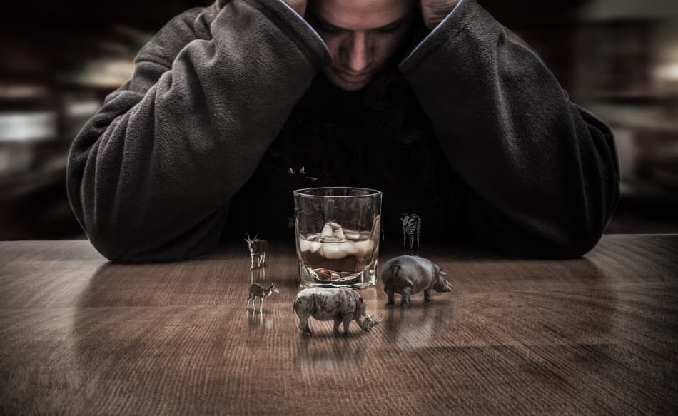 Whiskey and Wild Thoughts by Tomer Eliash — canvas wall art