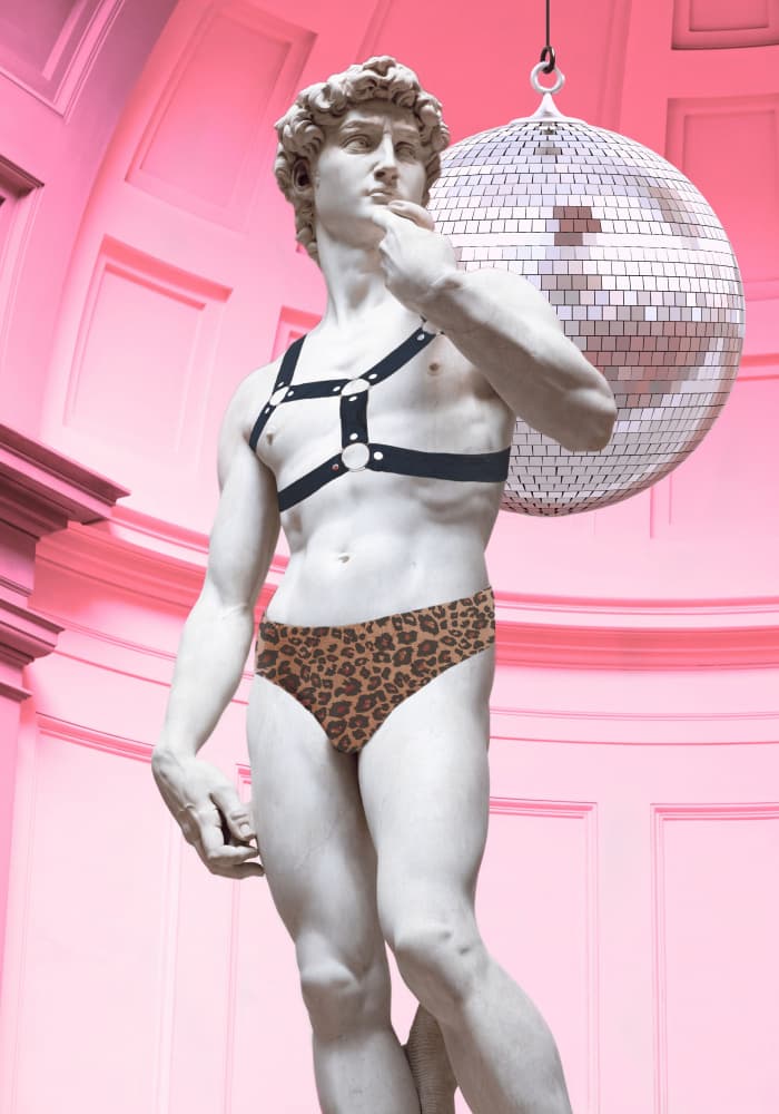 Pink David Disco by Athene Fritsch — canvas wall art