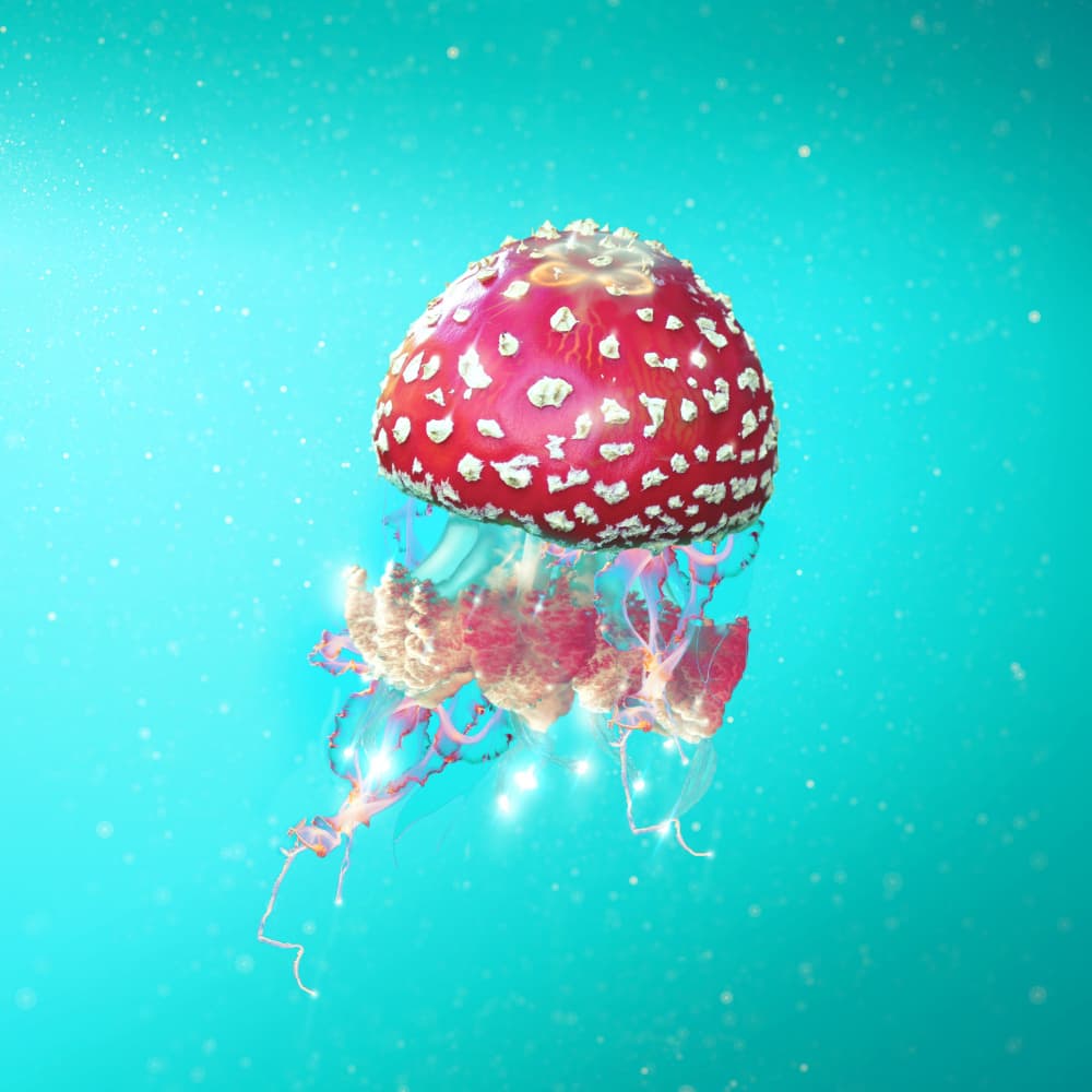 Magical Mushroom Jellyfish by Artem Pozdniakov — canvas wall art