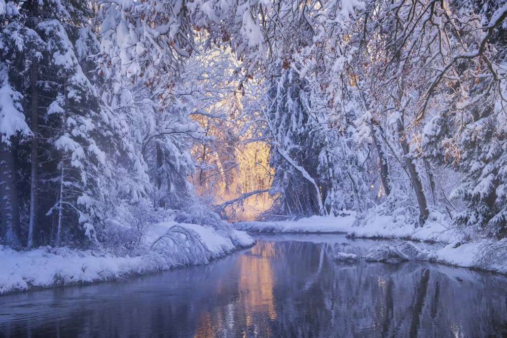 A warm light in cold winter by Norbert Maier — canvas wall art