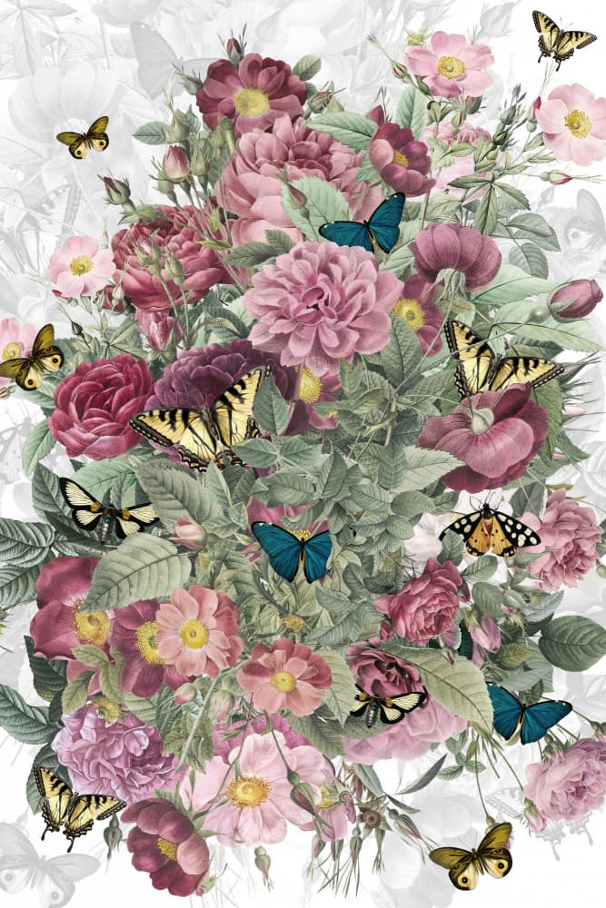 Classic Rose Garden Butterflies by Simon Goggin — canvas wall art