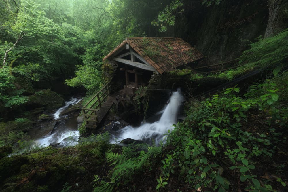 Hidden Forest Mill Waterfall by Alfonso maseda varela — canvas wall art