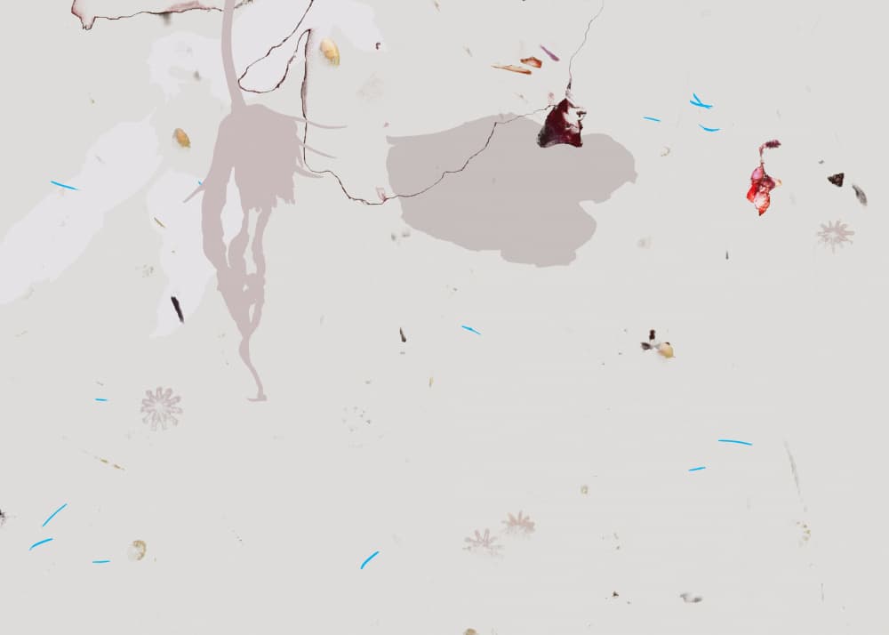 Delicate Natural Fragments by Miriam Stayte — canvas wall art