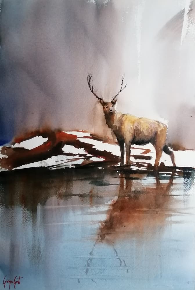 Reflecting Winter Stag by Giorgio Gosti — canvas wall art
