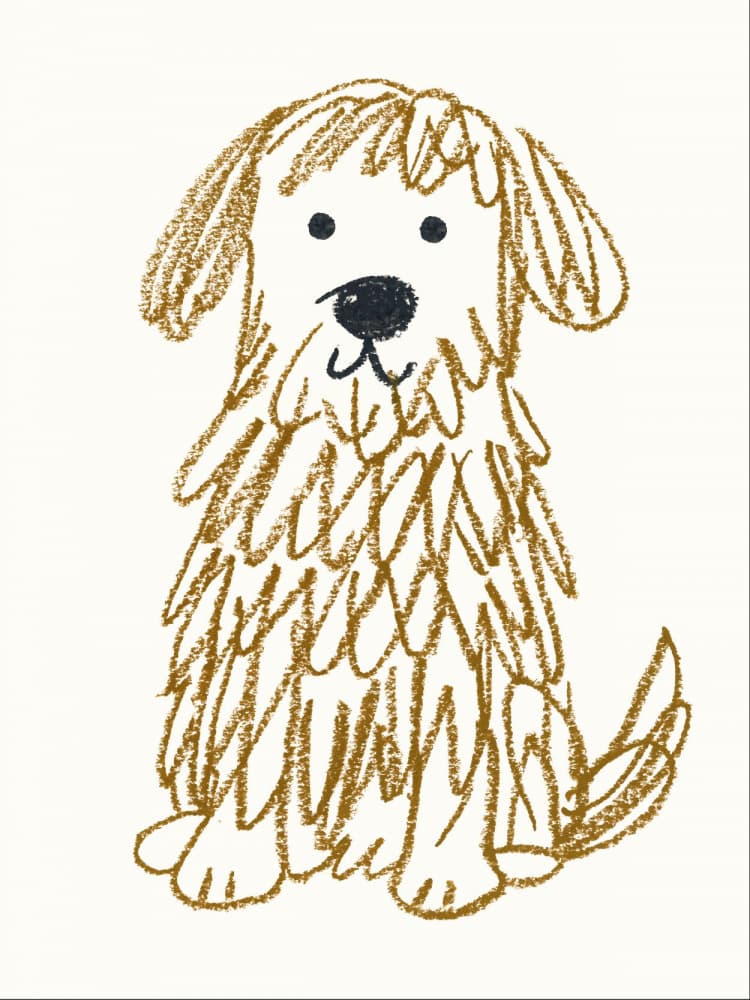 Cute Shaggy Dog by Silvia Visscher — canvas wall art