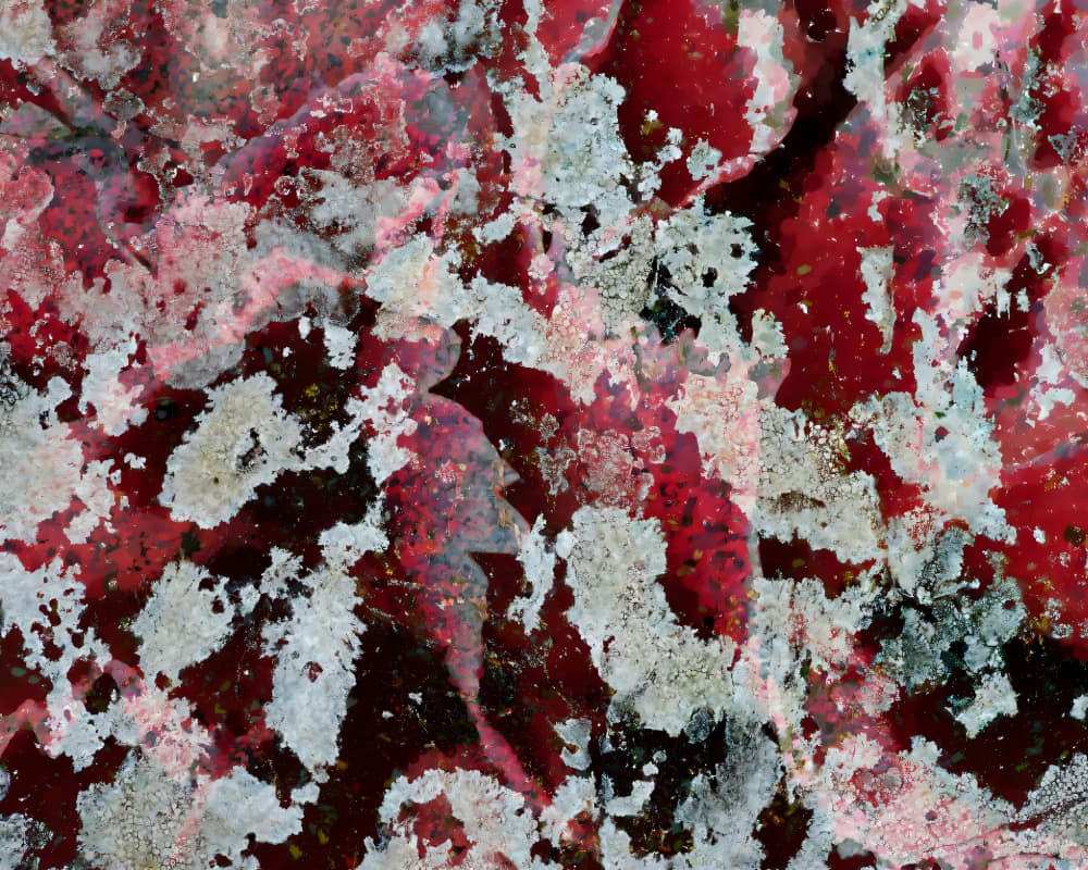 Weathered Red Texture by Uma Gokhale — canvas wall art