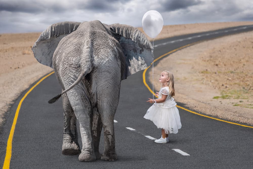 Elephant and Girl Journey by Marcel Egger — canvas wall art