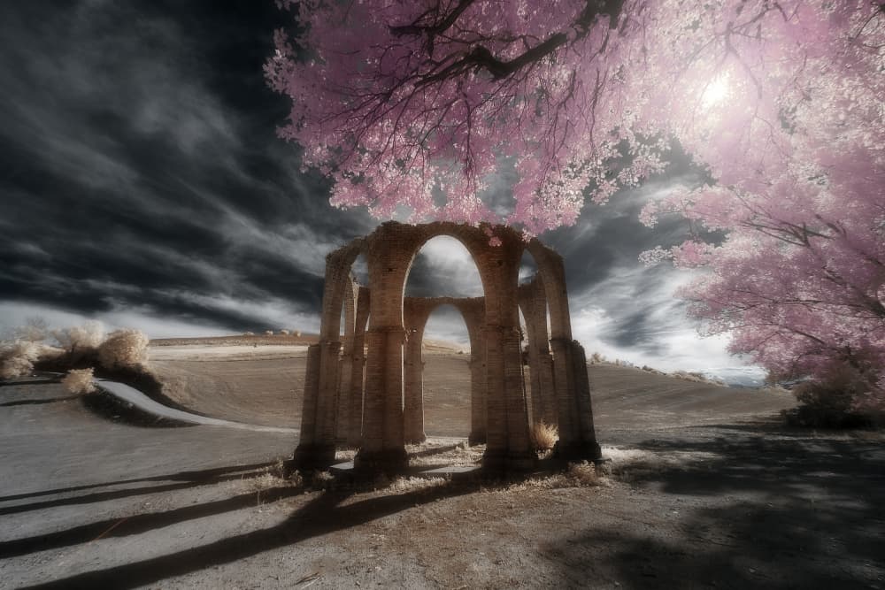 Ethereal Ruins and Pink Trees by Filippo Manini — canvas wall art
