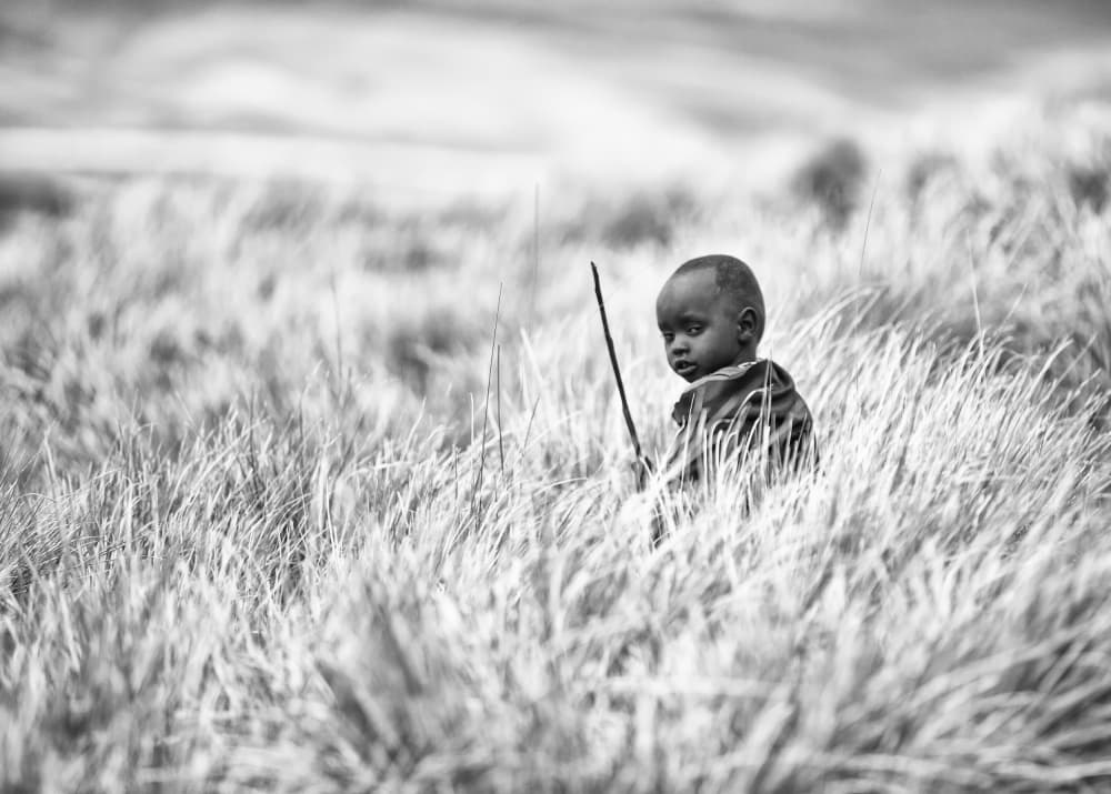 Young Child in Tall Grass by Goran Jovic — canvas wall art