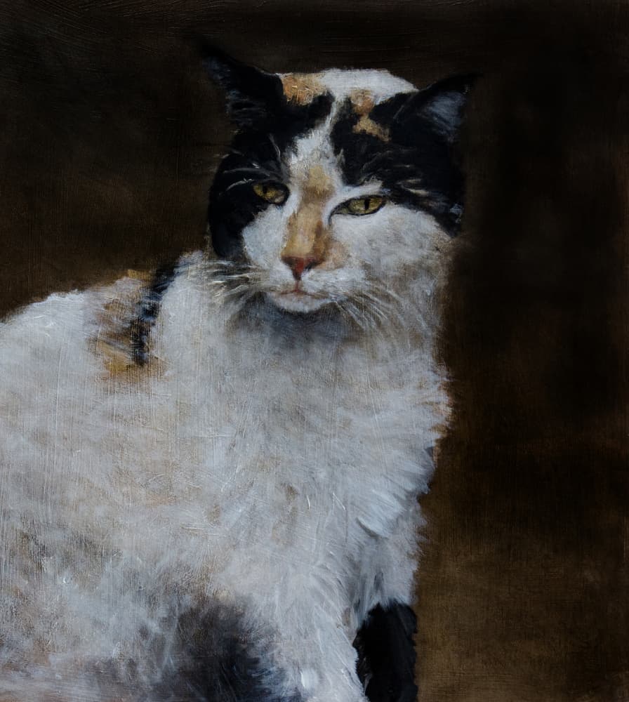 Watchful Calico Cat by Claire Lerner — canvas wall art