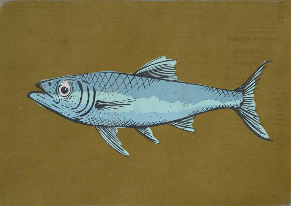 Stylized Blue Fish by Nicholas — canvas wall art