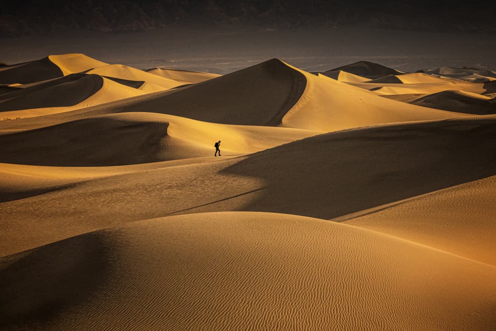 Golden Dunes Journey by Chuan Chen APA — canvas wall art
