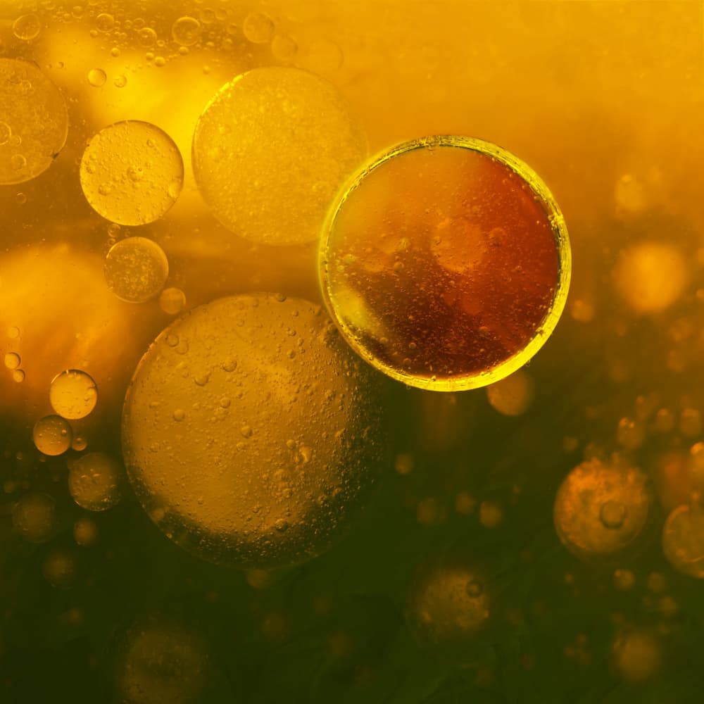 Amber Gold Droplets by Ileana Bosogea-Tudor — canvas wall art