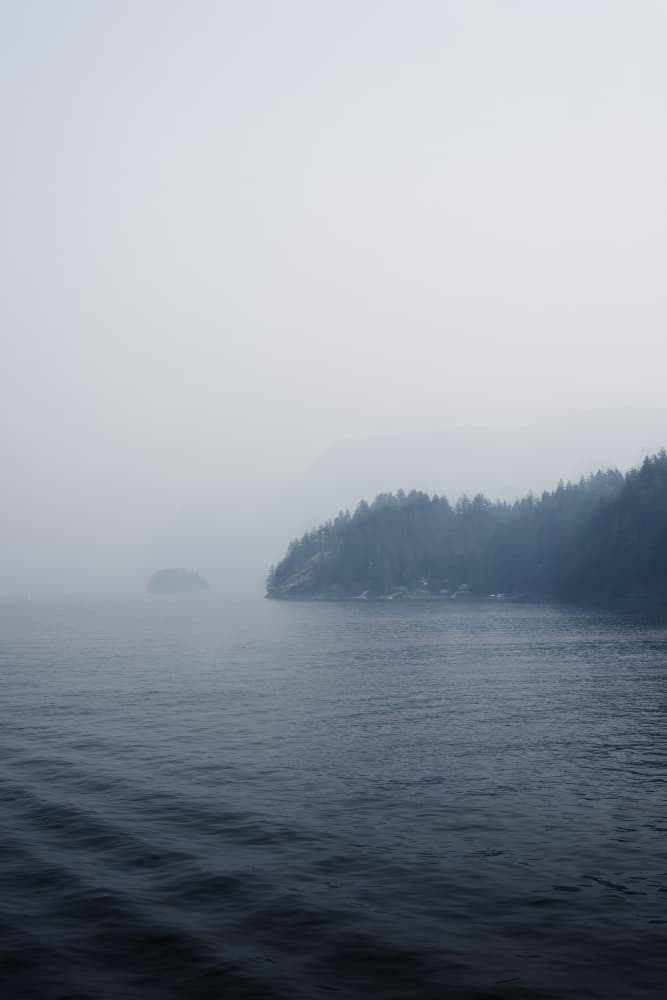 Misty Coastal Inlet by Lynann Colligan — canvas wall art