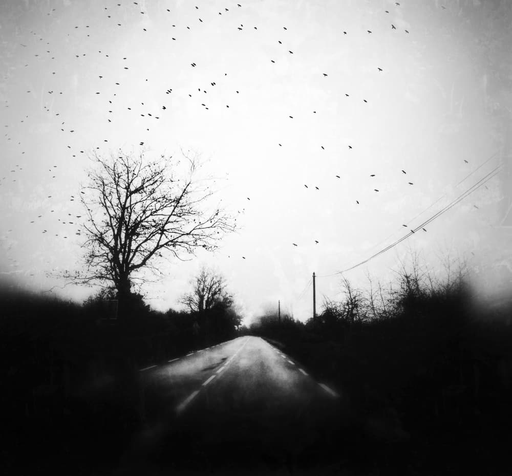 Birds Over Winter Road by Delphine Margau — canvas wall art
