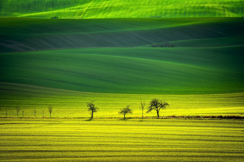 Rolling Green Fields by Milan Uhrin AFIAP AZSF — canvas wall art