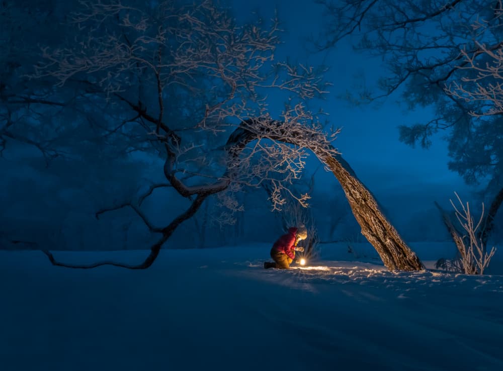 Magical Winter Lantern by Irene Wu — canvas wall art