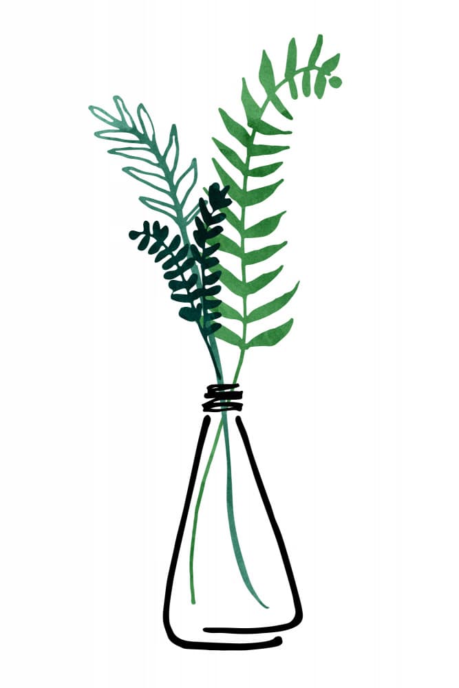 Simple Still Life by Kristian Gallagher — canvas wall art