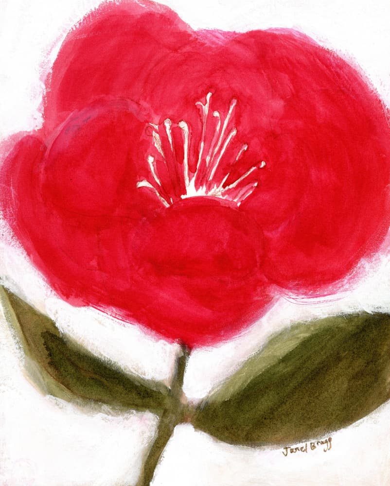 Vibrant Red Flower Bloom by Janel Bragg — canvas wall art