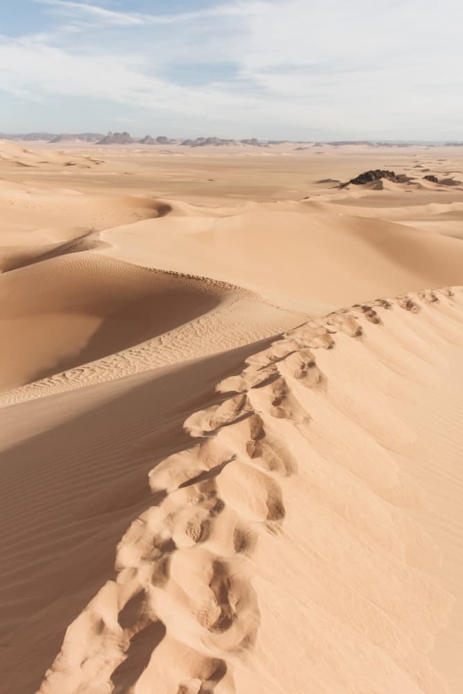 Golden Desert Footprints by Photolovers — canvas wall art