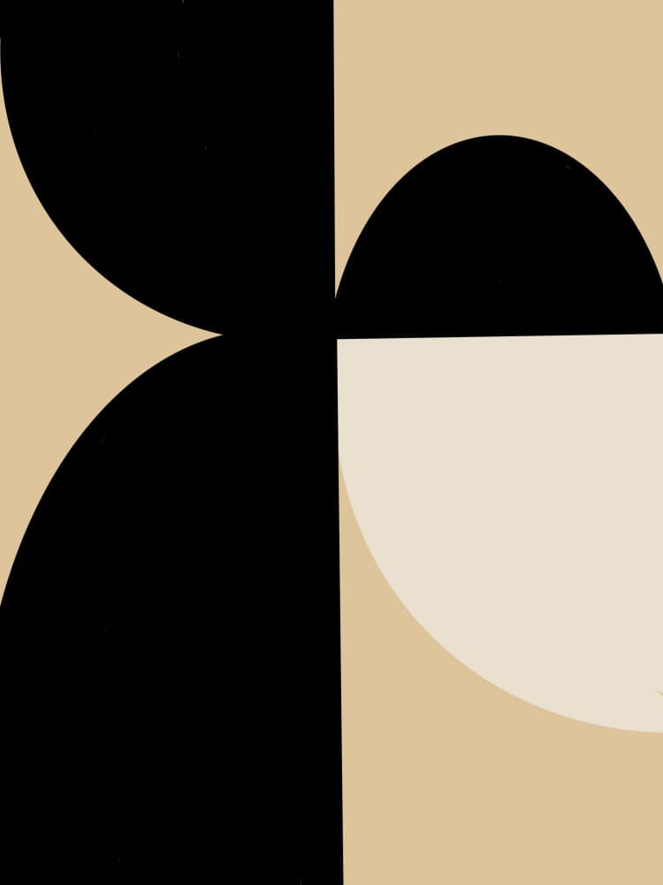 Abstract Geometric Curves by Studio Palette — canvas wall art