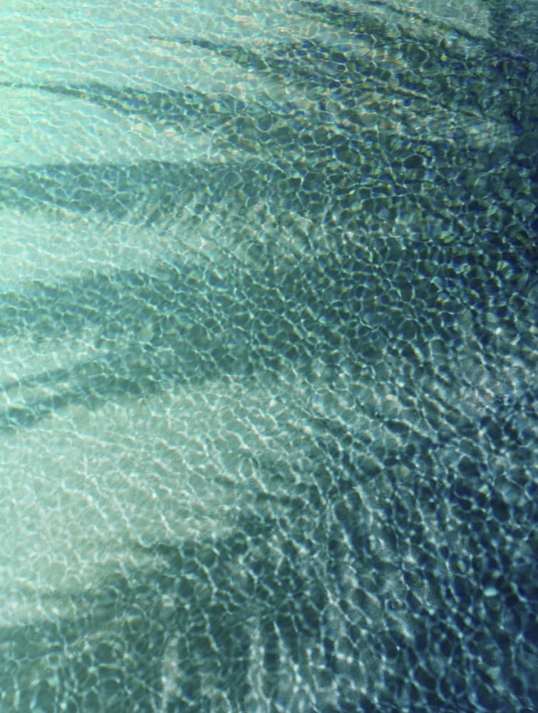 Sunlit Water Patterns by Angelo Cerantola — canvas wall art