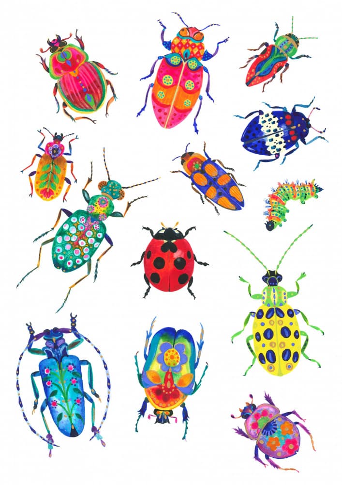 Beetles And Insects by Isabelle Brent — canvas wall art