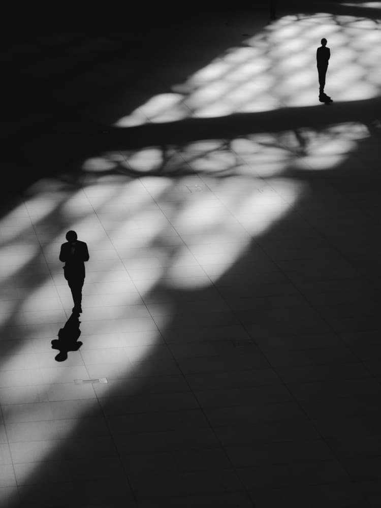 Silhouettes in Light by IKUMI FUKAZAWA — canvas wall art