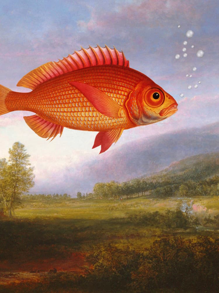 Flying Goldfish Dream by Marja van den Hurk — canvas wall art