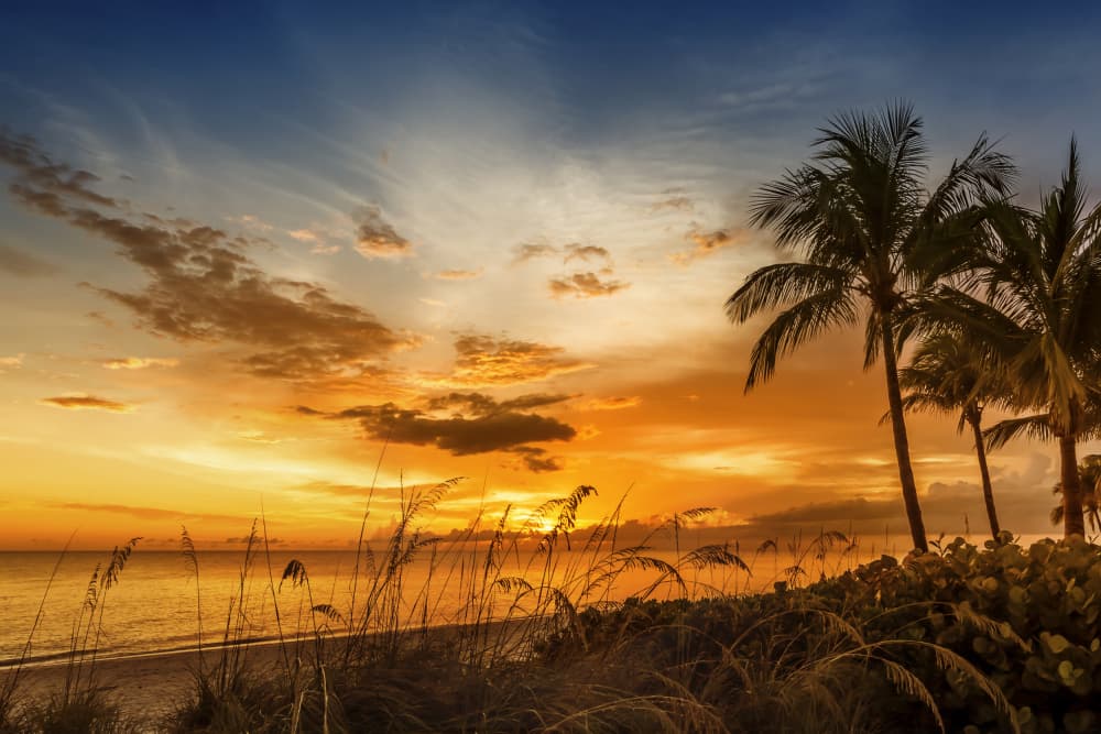Tropical Sunset Glow by Melanie Viola — canvas wall art