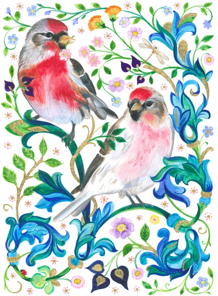 Redpoll Birds by Isabelle Brent — canvas wall art