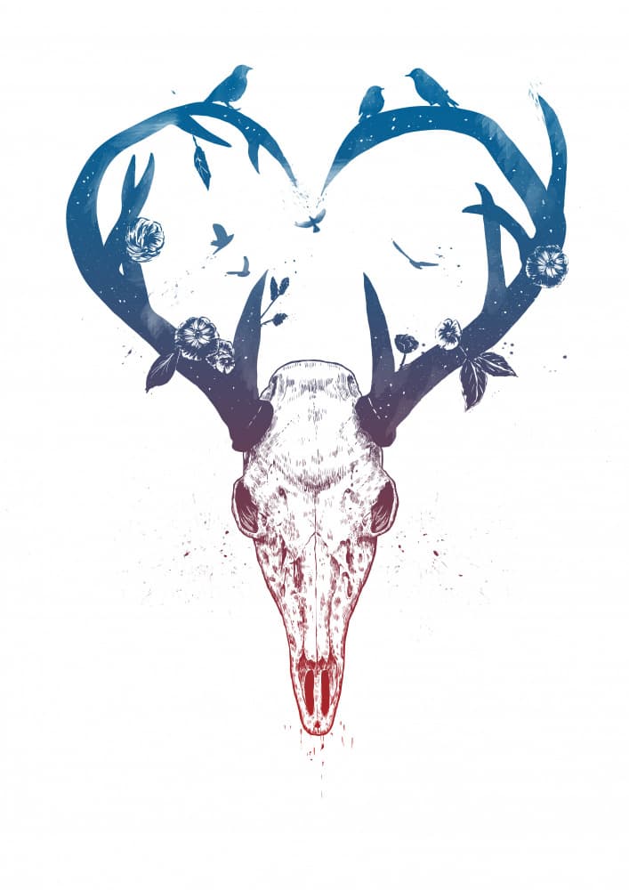 Wild Heart Skull by Balazs Solti — canvas wall art