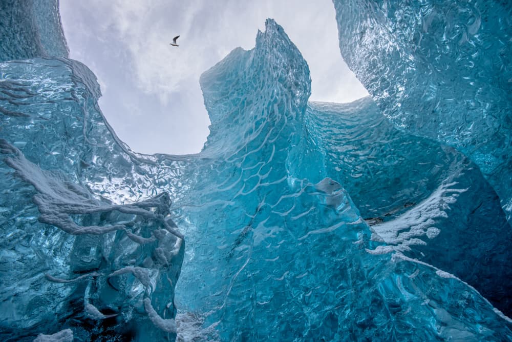 Blue Ice Cave Bird by Piet Haaksma — canvas wall art