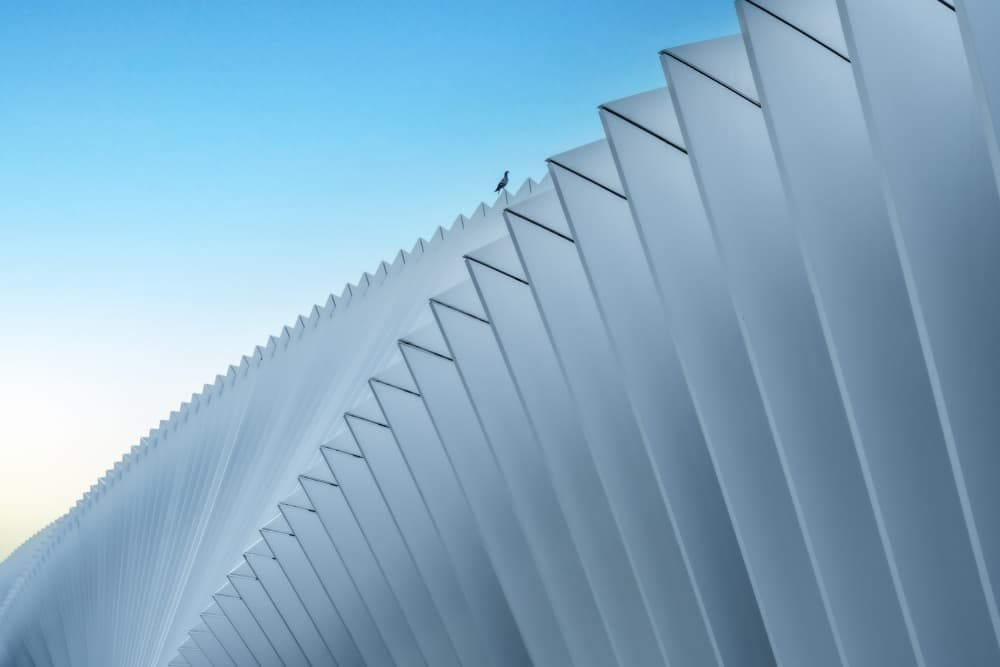 Bird on Geometric Architecture by Linda Wride — canvas wall art